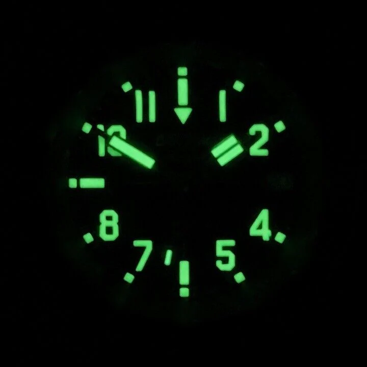 Vostok Amphibia 72013B Watch [Exclusive] - Image 7