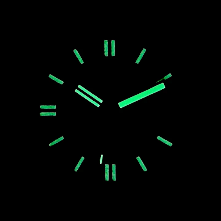 Vostok Amphibia Tourist 14051B Watch - Image 4